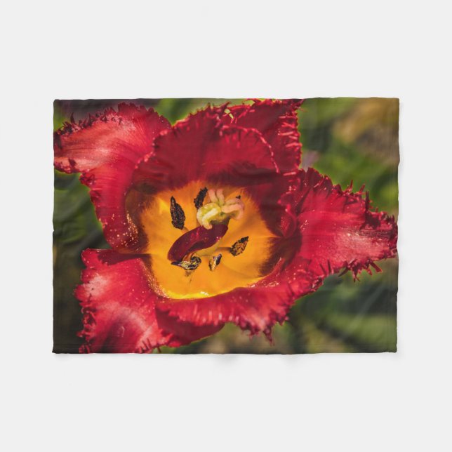 Couverture Polaire Tuliforme rouge (Devant (Horizontal))