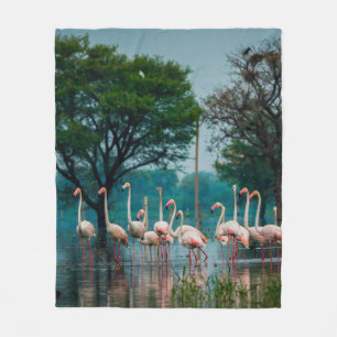 Couverture Polaire Un grand troupeau de flamants dans l'habitat natur