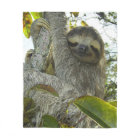 Vivre la vie comme une Sloth