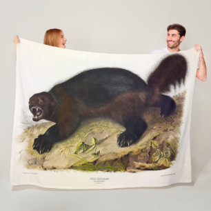 Couverture Polaire Wolverine ou Wolverene (Gulo gulo) par Audubon