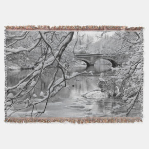 Couverture Pont de voûte au-dessus de rivière congelée en