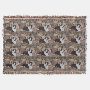 Couverture poulets de border collie en portrait de chien de