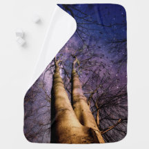 Forêt enchantée