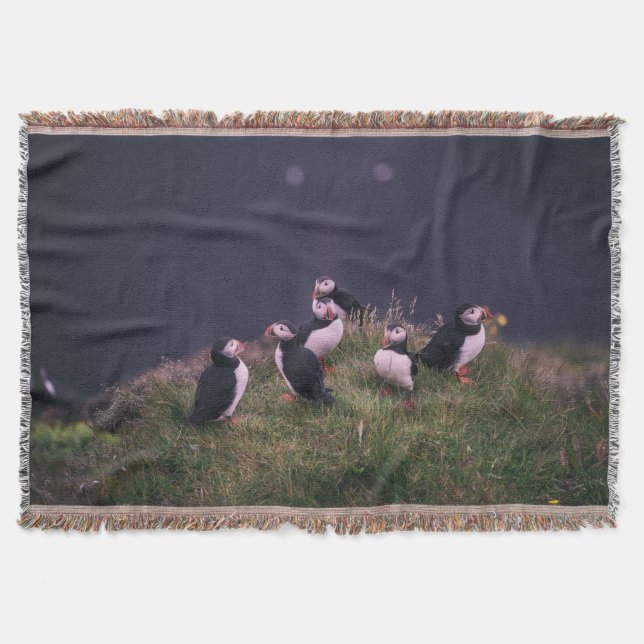 Couverture Puffins de l'Atlantique (Devant)