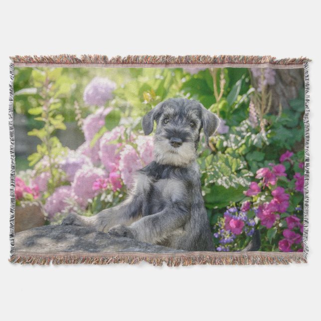 Couverture Puppy de Schnauzer dans un Flowering Garden - (Devant)