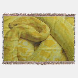 Couverture Python birman jaune