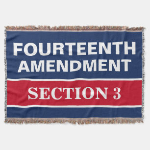 Couverture Quatorzième amendement Article 3 Constitution