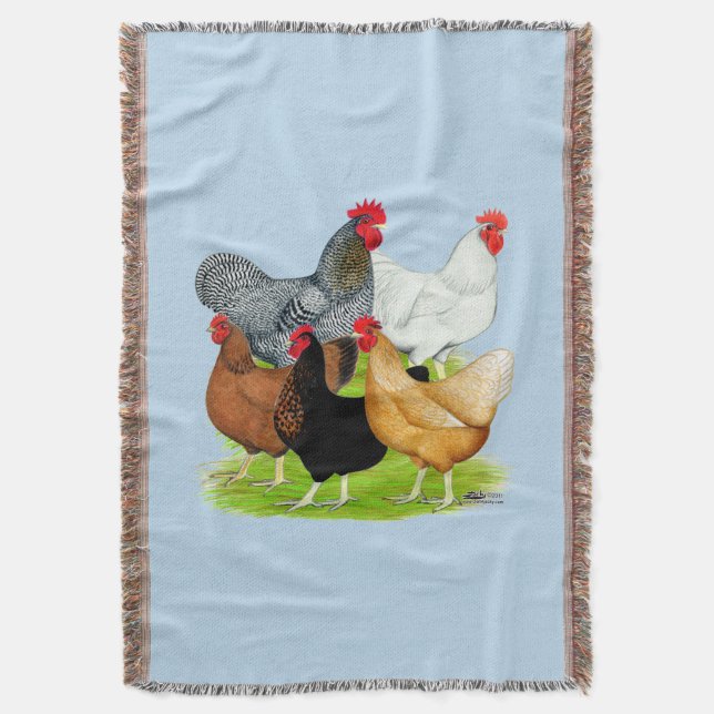 Couverture Quintette de poulet liée au sexe (devant Vertical)