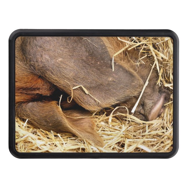 COUVERTURE REMORQUE D'ATTELAGE PIÈCES (Devant)