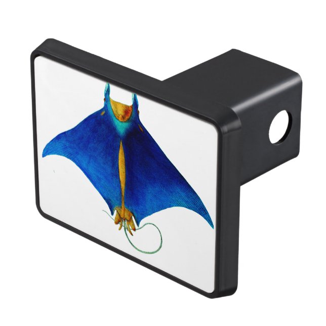 Couverture Remorque D'attelage raie (haut Droit)