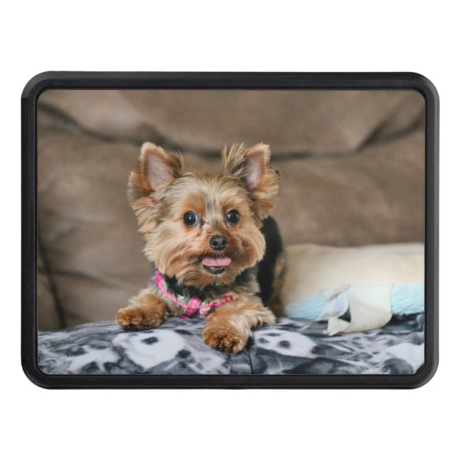 Couverture Remorque D'attelage Tiny dynamo (Devant)