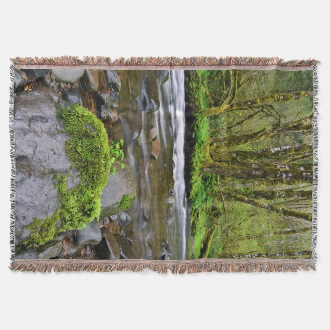 Couverture Rivière dans la forêt verte, Oregon (Devant)