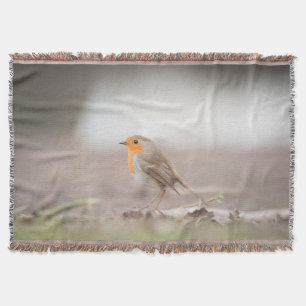 Couverture Robin Bird Nature Photo