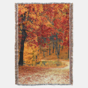 Couverture Route d'automne