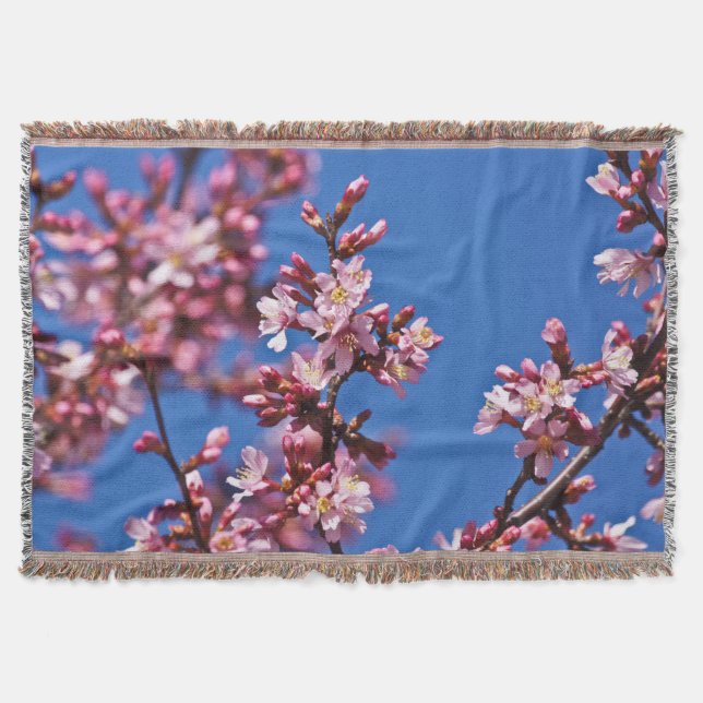 Couverture Sakura Cerry Blossoms Touché Bleu (Devant)