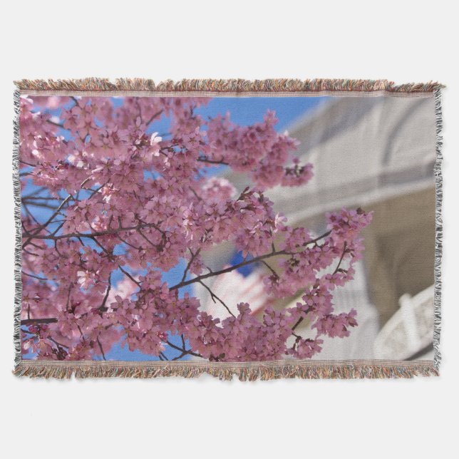 Couverture Sakura Cherry Blossoms (Devant)