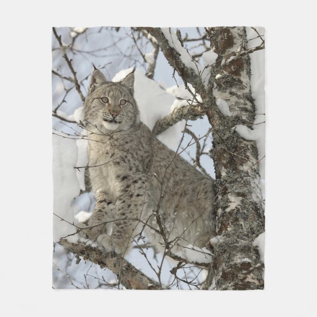 Couverture sauvage d'ouatine de chat de Lynx (Devant)