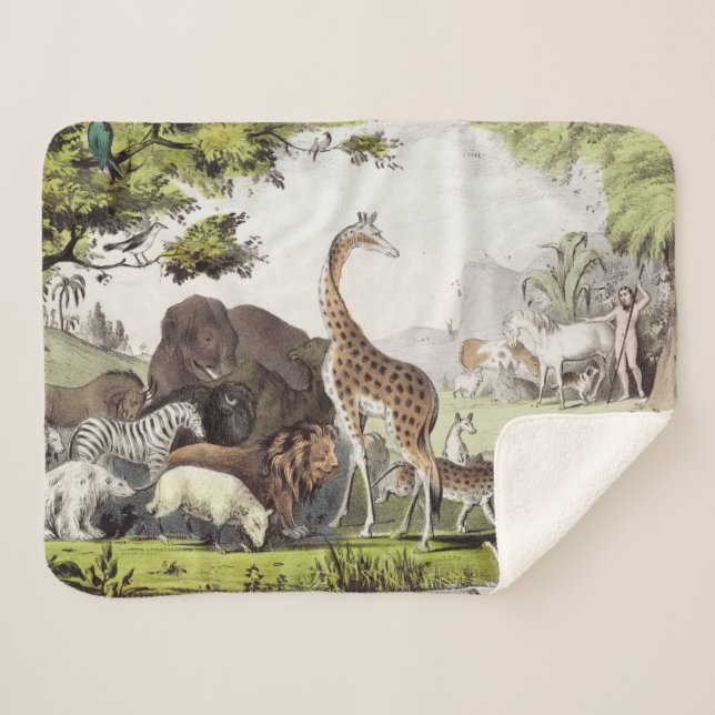 Couverture Sherpa Adam nomme les créatures (Devant (Horizontal))