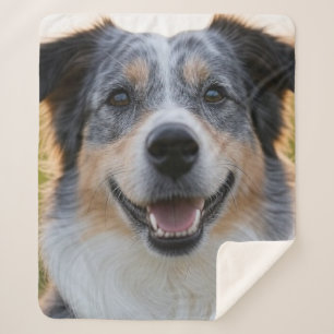 Couverture Sherpa Ajouter une Personnaliser photo pour animaux domes