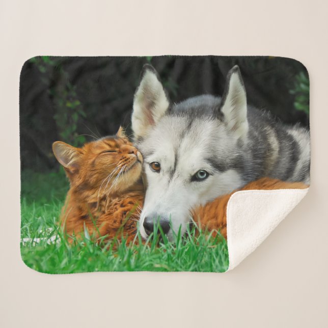 Couverture Sherpa Amour mignon somalien de petit groupe d'amis de (Devant (Horizontal))