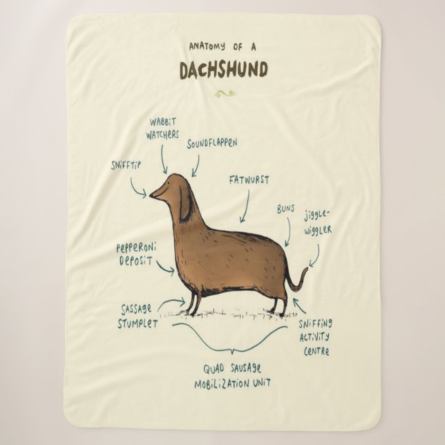 Couverture Sherpa Anatomie D'Un Dachshund| Amoureux de les chiens de (Devant)
