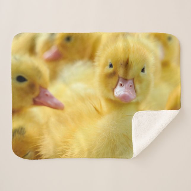 Couverture Sherpa Animaux de bébés cutest | Baby Duck Group (Devant (Horizontal))