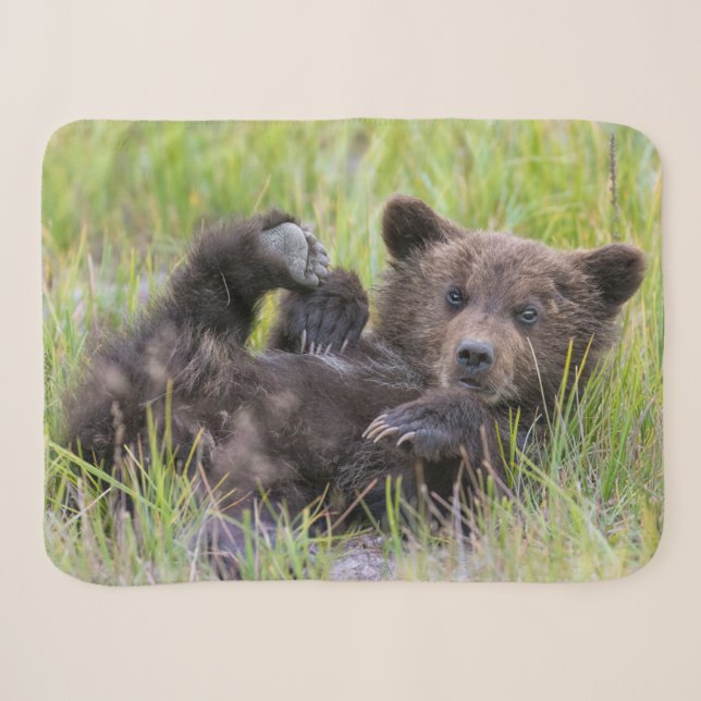 Couverture Sherpa Animaux de bébés cutest | Bébé Ours Brown (Devant (Horizontal))