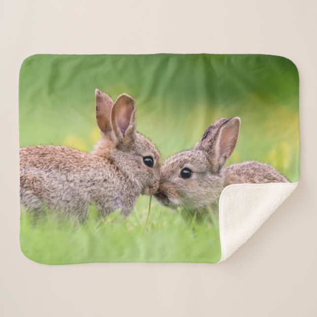Couverture Sherpa Animaux de bébés cutest | Bunny Kiss (Devant (Horizontal))