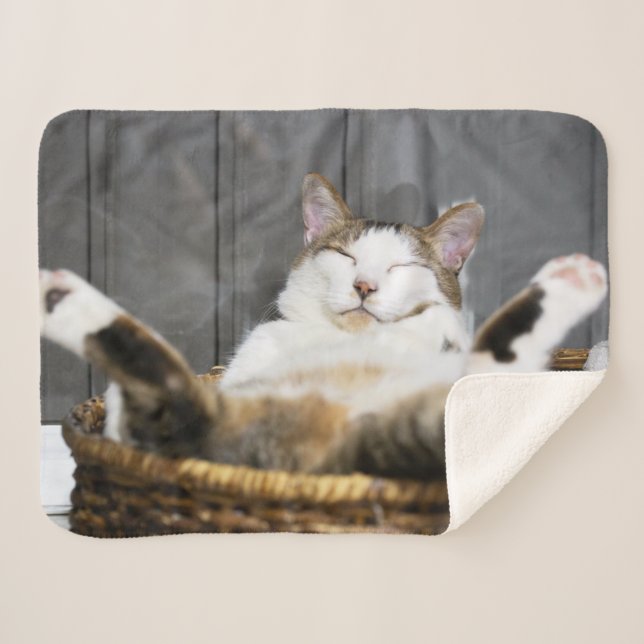 Couverture Sherpa Animaux de bébés cutest | Chat dans le lit (Devant (Horizontal))