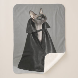 Couverture Sherpa Animaux de bébés cutest   Chat sans poil Sphynx