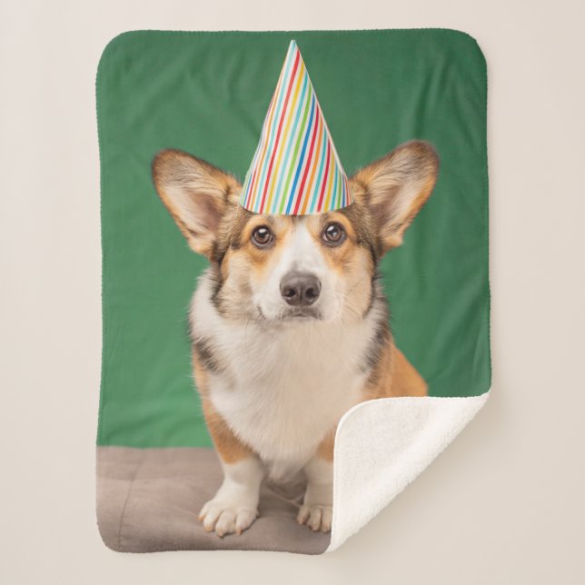 Couverture Sherpa Animaux de bébés cutest | Corgi Anniversaire Chiot (Devant)