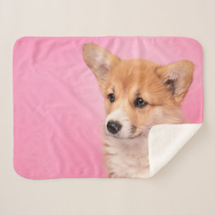 Couverture Sherpa Animaux de bébés cutest Corgi Chiot rose