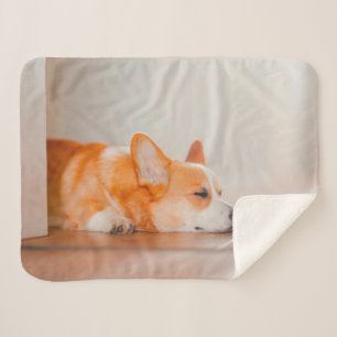 Couverture Sherpa Animaux de bébés cutest Corgi Sleeping