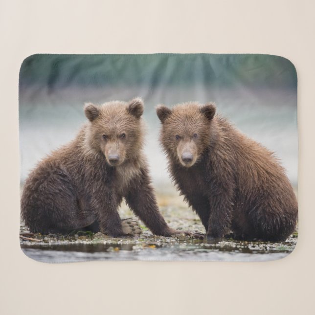 Couverture Sherpa Animaux de bébés cutest | Deux petits ours d'ours (Devant (Horizontal))
