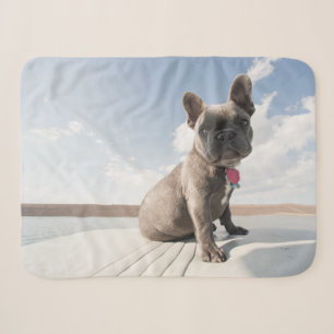 Couverture Sherpa Animaux de bébés cutest French Bulldog Booking