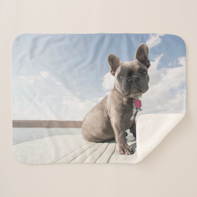 Couverture Sherpa Animaux de bébés cutest | French Bulldog Booking (Devant (Horizontal))