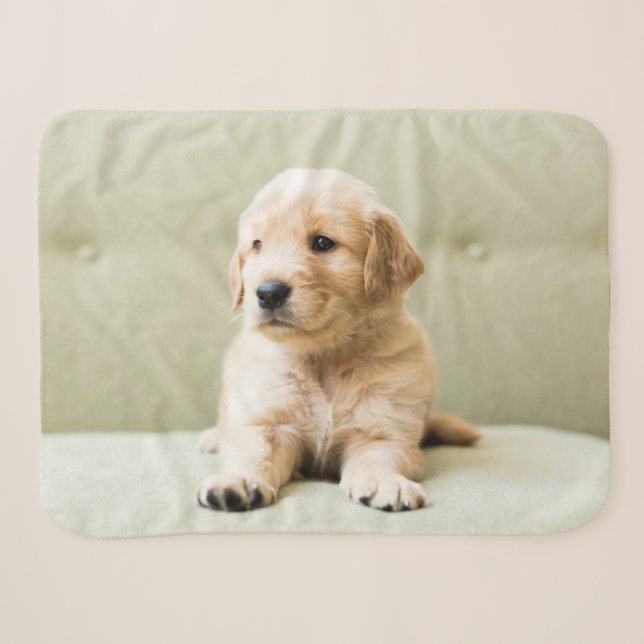 Couverture Sherpa Animaux de bébés cutest | Golden Retriever Puppy (Devant (Horizontal))