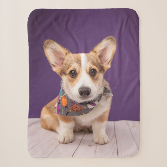 Couverture Sherpa Animaux de bébés cutest | Halloween Corgi (Devant)