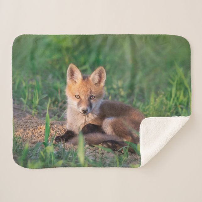 Couverture Sherpa Animaux de bébés cutest | Kit Red Fox Relaxant (Devant (Horizontal))
