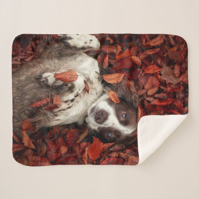 Couverture Sherpa Animaux de bébés cutest | L'espagnol dans les feui (Devant (Horizontal))