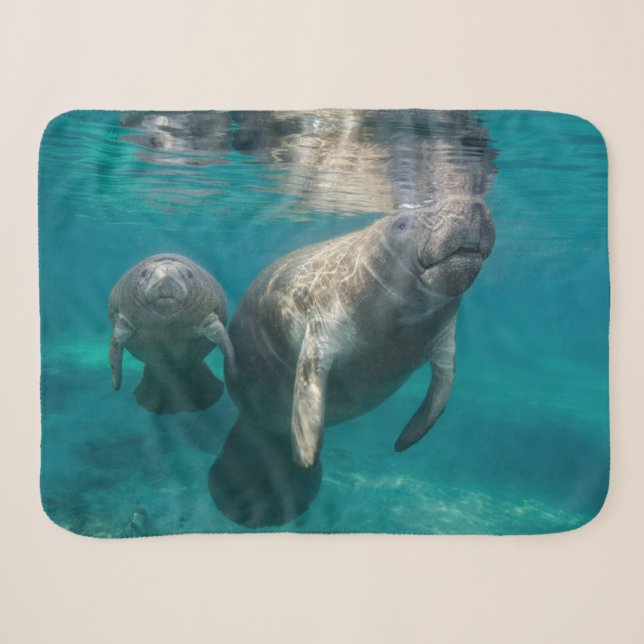 Couverture Sherpa Animaux de bébés cutest | Manat & bébé (Devant (Horizontal))