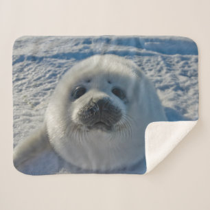 Couverture Sherpa Animaux de bébés cutest Phoque bébé