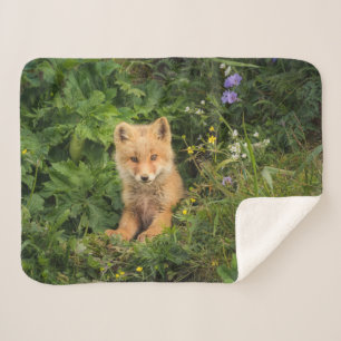 Couverture Sherpa Animaux de bébés cutest Renard rouge à Umnak Ala