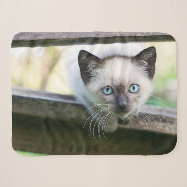 Couverture Sherpa Animaux de bébés cutest | Siamese Kitten 2 (Devant (Horizontal))
