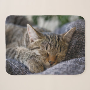 Couverture Sherpa Animaux de bébés cutest   Tabby Kitten Sommeil