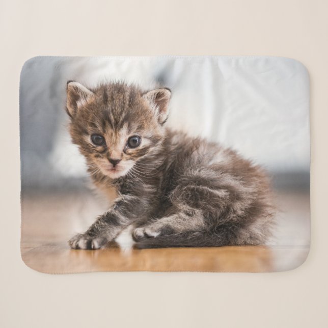 Couverture Sherpa Animaux de bébés cutest | Tiny Tabby Kitten (Devant (Horizontal))