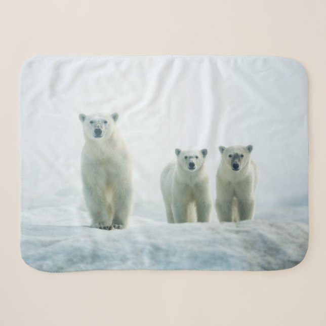 Couverture Sherpa Animaux de bébés cutest | Trois jeunes ours polair (Devant (Horizontal))