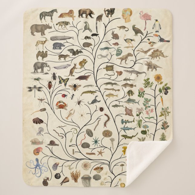 Couverture Sherpa Arbre de vie (Devant)