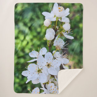Couverture Sherpa Arbre en Fleur au Printemps Roumanie – Photographi