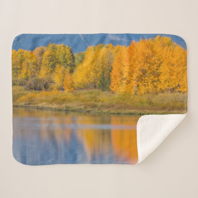 Couverture Sherpa Arbres d'Aspen couleur d'automne (Devant (Horizontal))